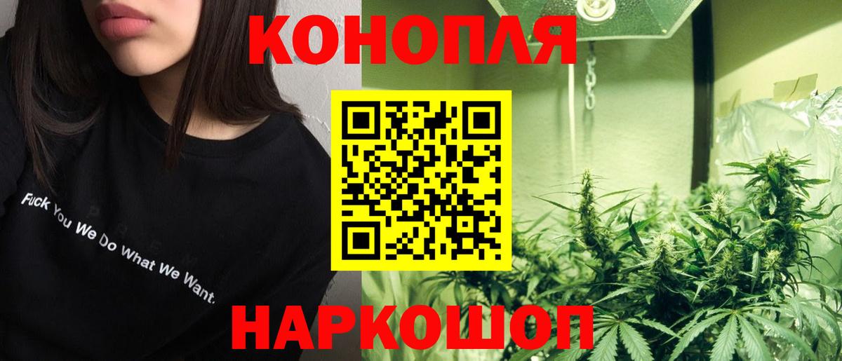 Марихуана конопля Ноябрьск